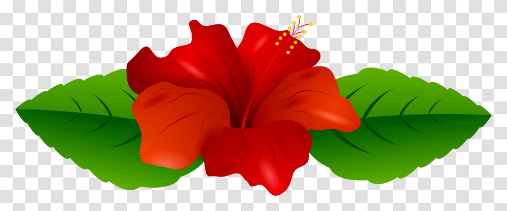 Download Free Hibiscus Flower Clip Art, Plant, Blossom, Petal, Geranium Transparent Png