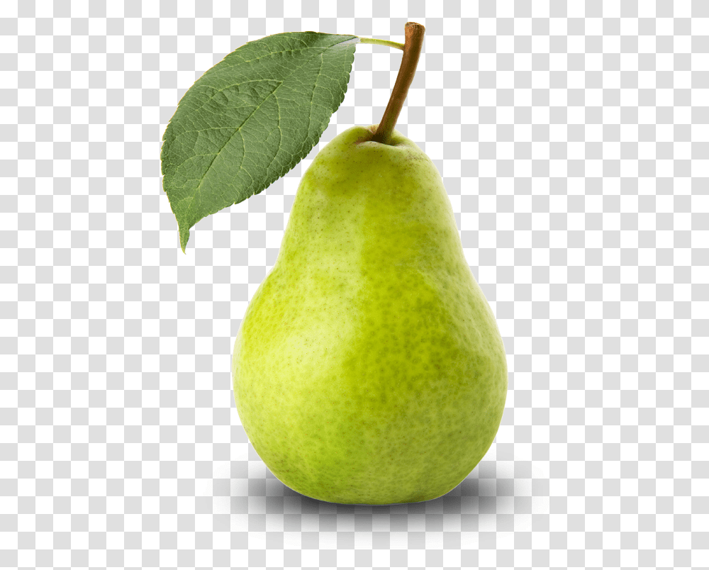 Download Free Icons Pear, Fruit, Plant, Food Transparent Png