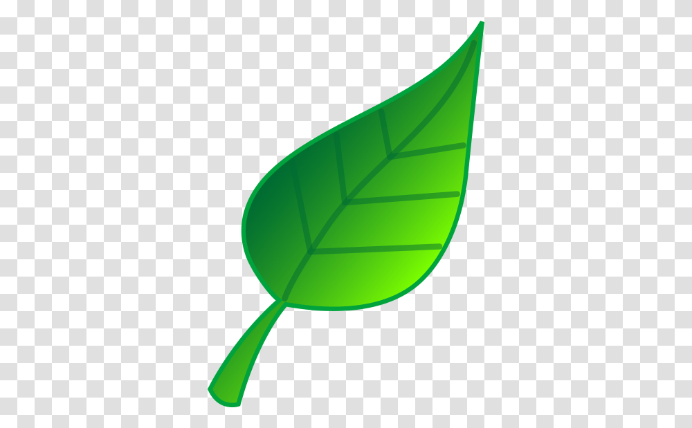 Download Free Images Free Image And Clipart, Leaf, Plant, Green, Veins Transparent Png