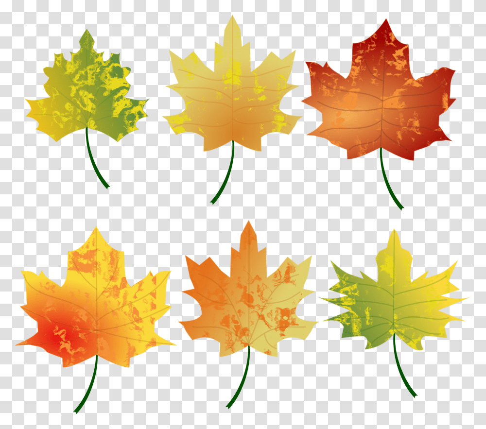 Download Free Leaves Leaves Clipart Autumn, Leaf, Plant, Tree, Maple Transparent Png