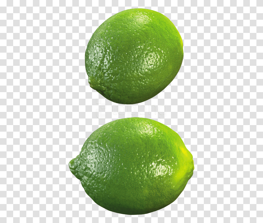 Download Free Lime Images Lemon, Tennis Ball, Sport, Sports, Citrus Fruit Transparent Png