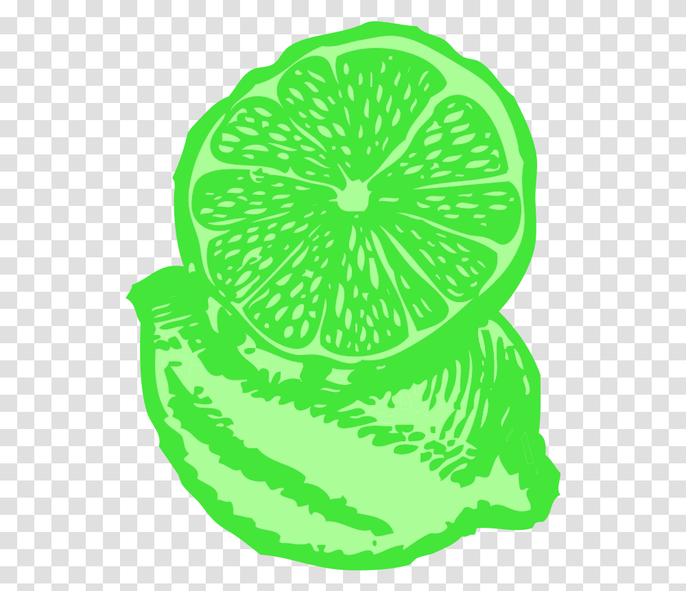 Download Free Limes Lemon Illustration, Plant, Citrus Fruit, Food, Grapefruit Transparent Png