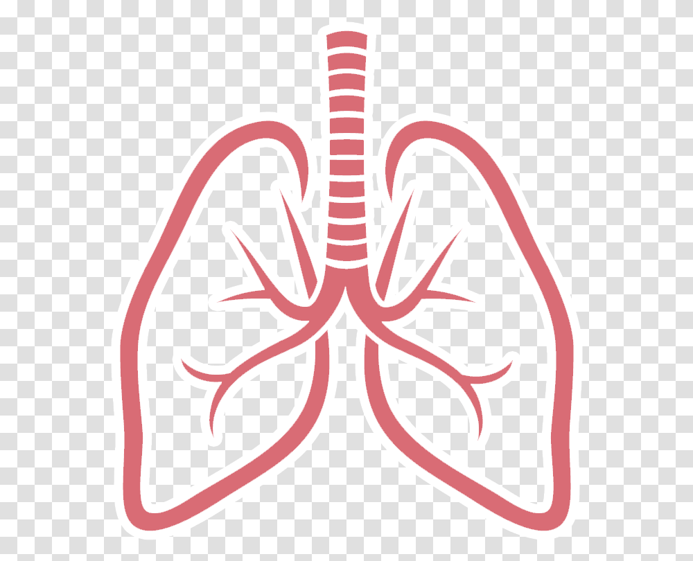 Download Free Lungs Picture Lung, Dynamite, Bomb, Weapon, Symbol Transparent Png