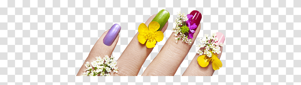 Download Free Nails Images Nails Art Flowers, Plant, Person, Accessories, Anemone Transparent Png