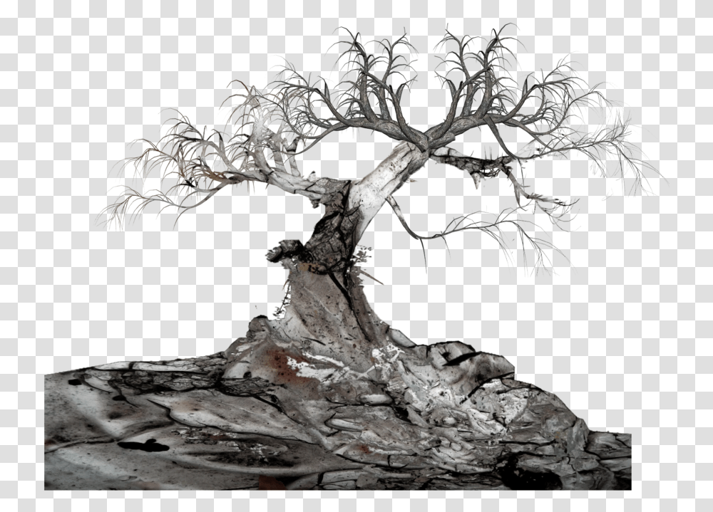 Download Free Old Tree Hanging From Tree, Potted Plant, Vase, Jar, Pottery Transparent Png