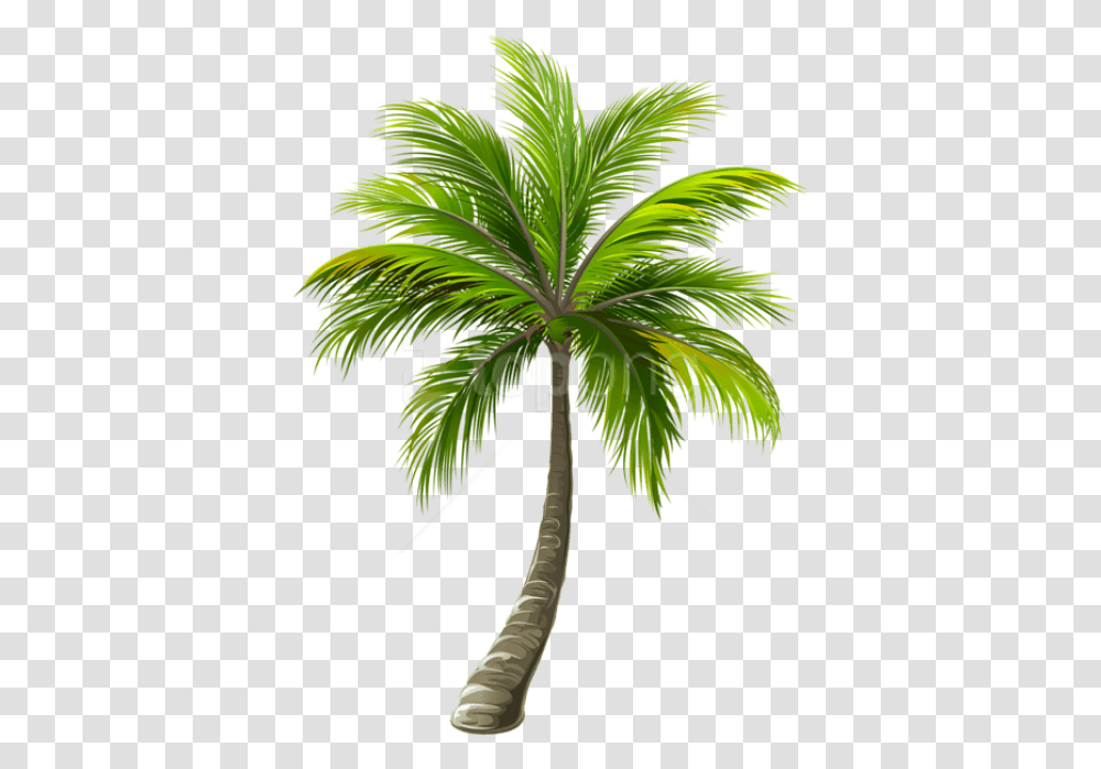 Download Free Palm Images Background Background Palm Tree, Plant, Arecaceae, Leaf Transparent Png