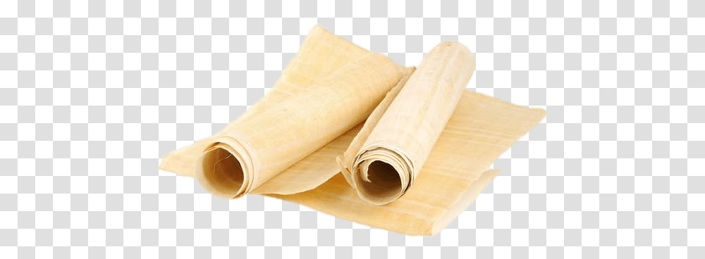 Download Free Papyrus Tissue Paper, Plant, Bamboo Shoot, Vegetable, Produce Transparent Png