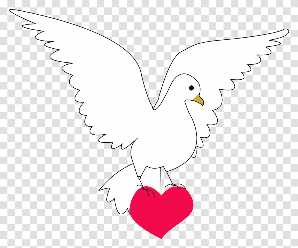 Download Free Photo Of Doveheartamourlovepeace From Imagenes Del Amor Y La Paz, Bird, Animal, Pigeon, Eagle Transparent Png