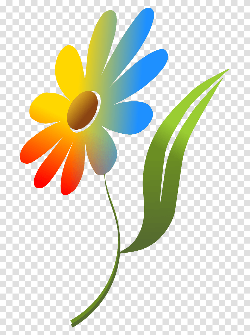 Download Free Photo Of Flowernaturecolorfulredblue Colorful Flower Image, Plant, Petal, Blossom, Daisy Transparent Png