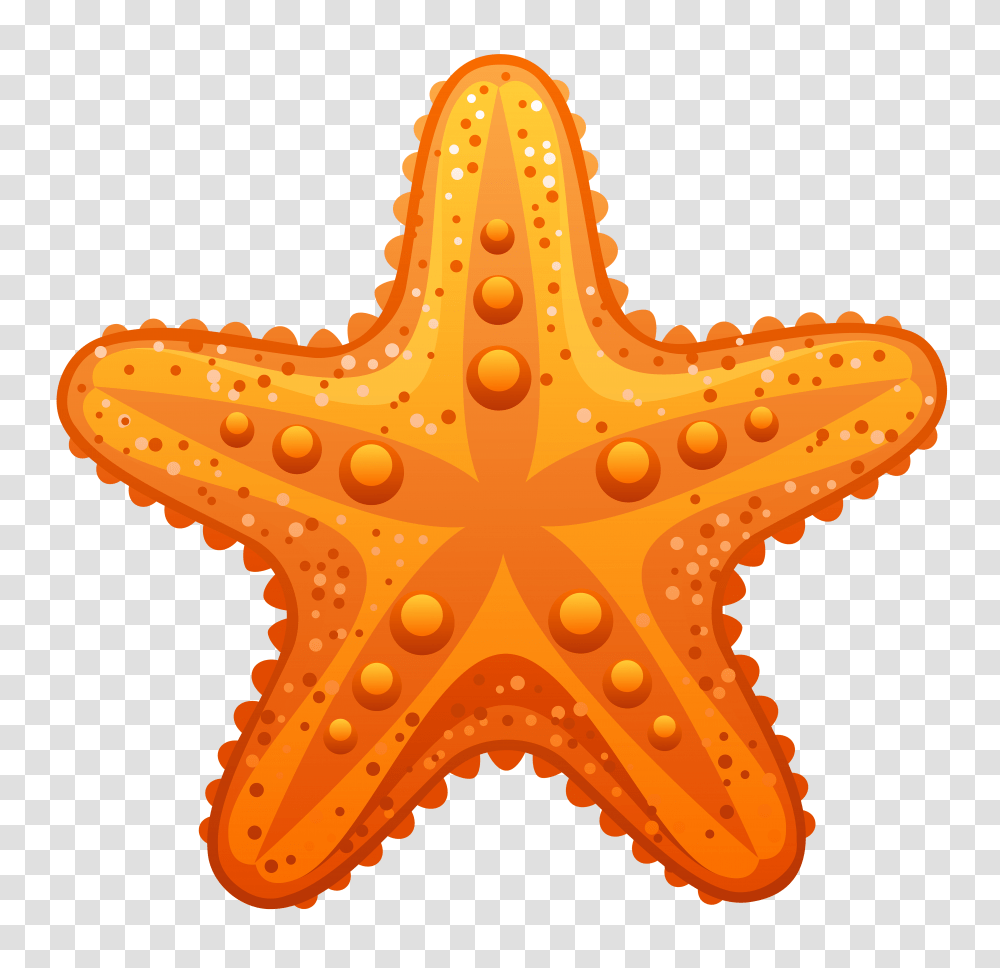 Download Free Pin By Ilana G Sea Star Clip Art, Sea Life, Animal, Starfish, Invertebrate Transparent Png