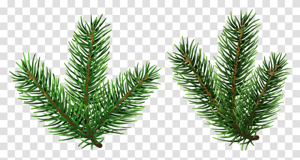 Download Free Pine Tree Branches Clip Art Gallery Background Transparent Png
