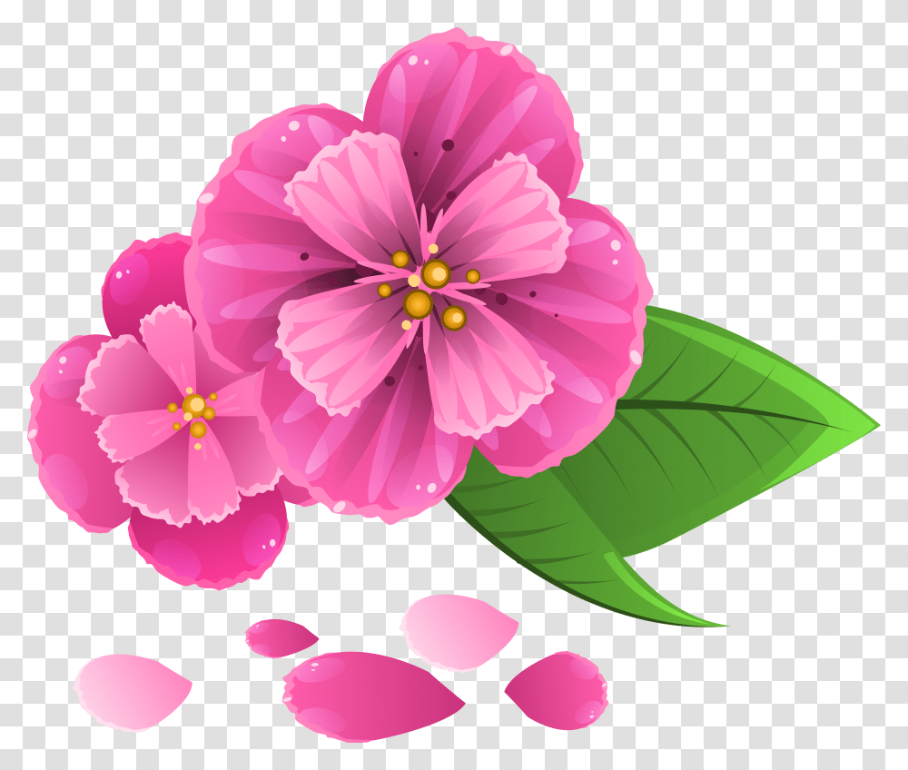 Download Free Pink Flower With Petals Clipart Image Flower And Petals, Plant, Blossom, Dahlia, Anther Transparent Png