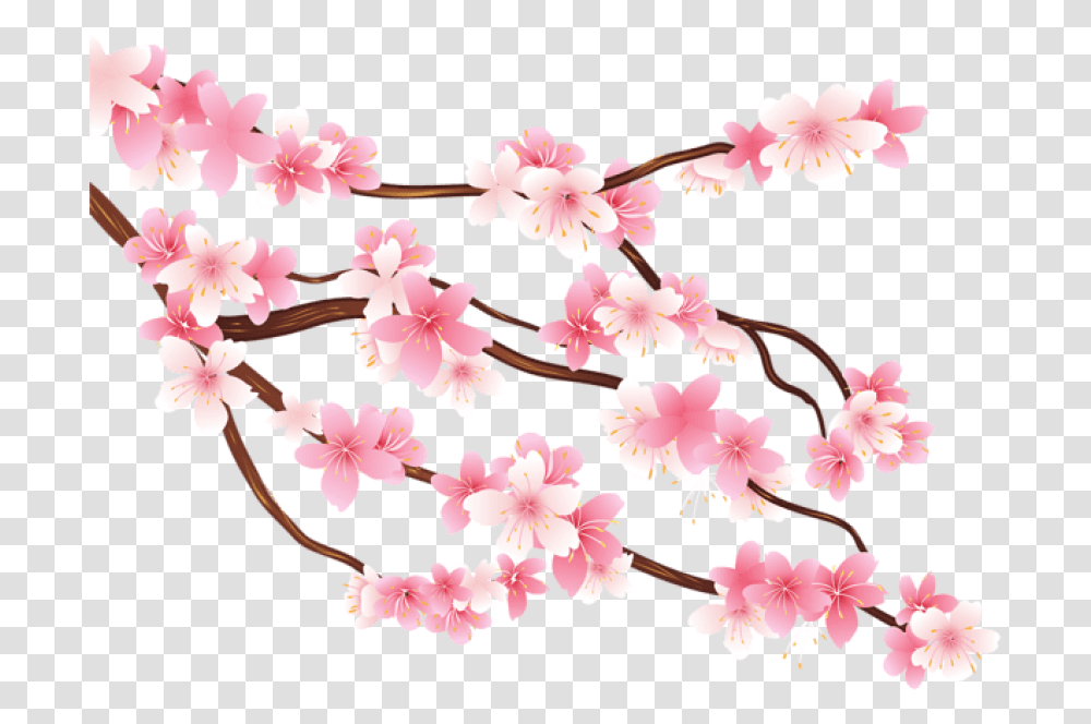 Download Free Pink Spring Branch Images Background Cherry Blossom Tree, Plant, Flower Transparent Png