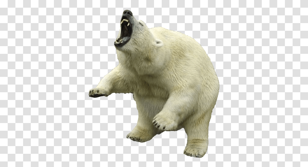 Download Free Polar Bear Clipart Icon Angry Polar Bear, Wildlife, Mammal, Animal Transparent Png