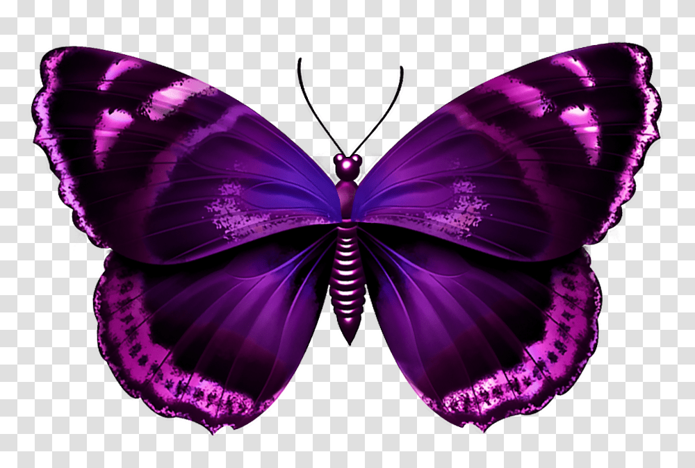 Download Free Purple Butterfly Butterfly Purple And Pink, Ornament, Graphics, Art, Pattern Transparent Png