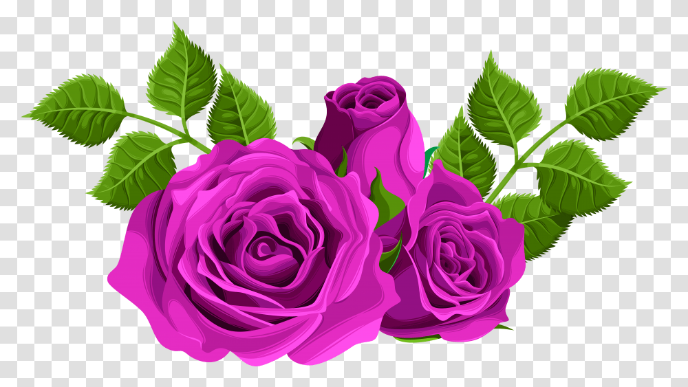 Download Free Purple Roses Decorative Clip Art Image Flower Rose Transparent Png