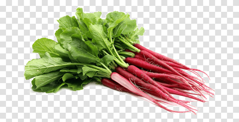Download Free Radish Clipart Fire And Ice Radish, Plant, Vegetable, Food Transparent Png