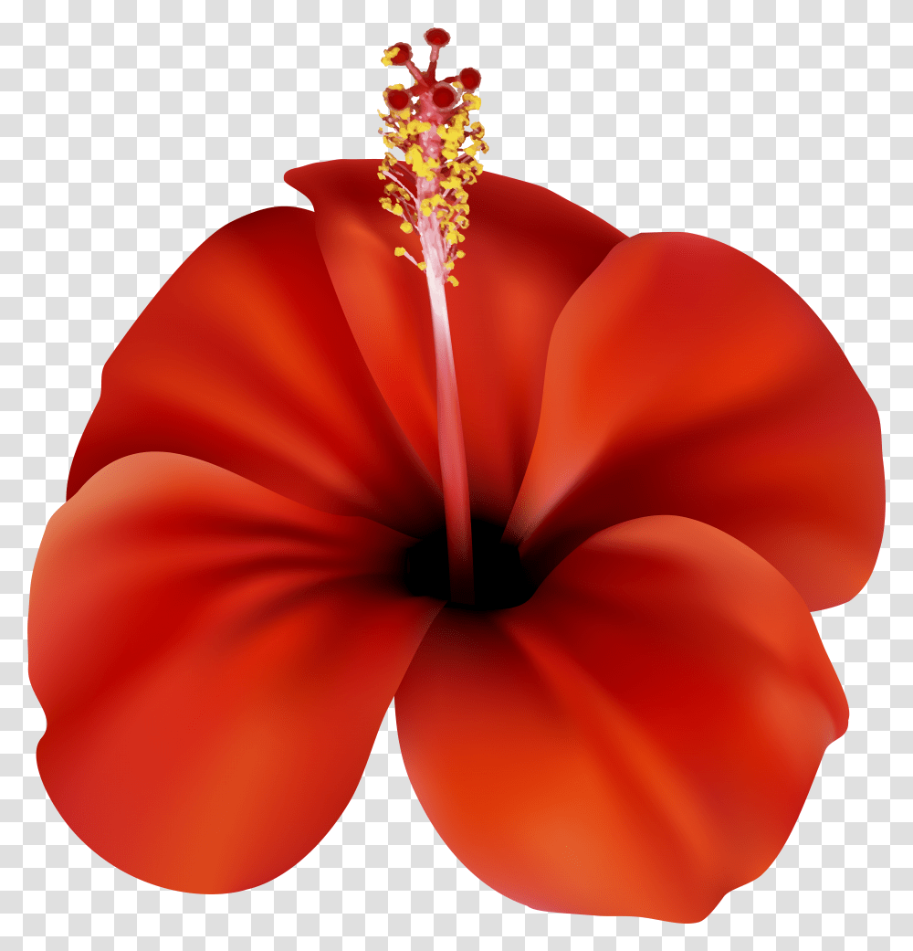 Download Free Red Flower Clip Art Best Web Clipart Transparent Png