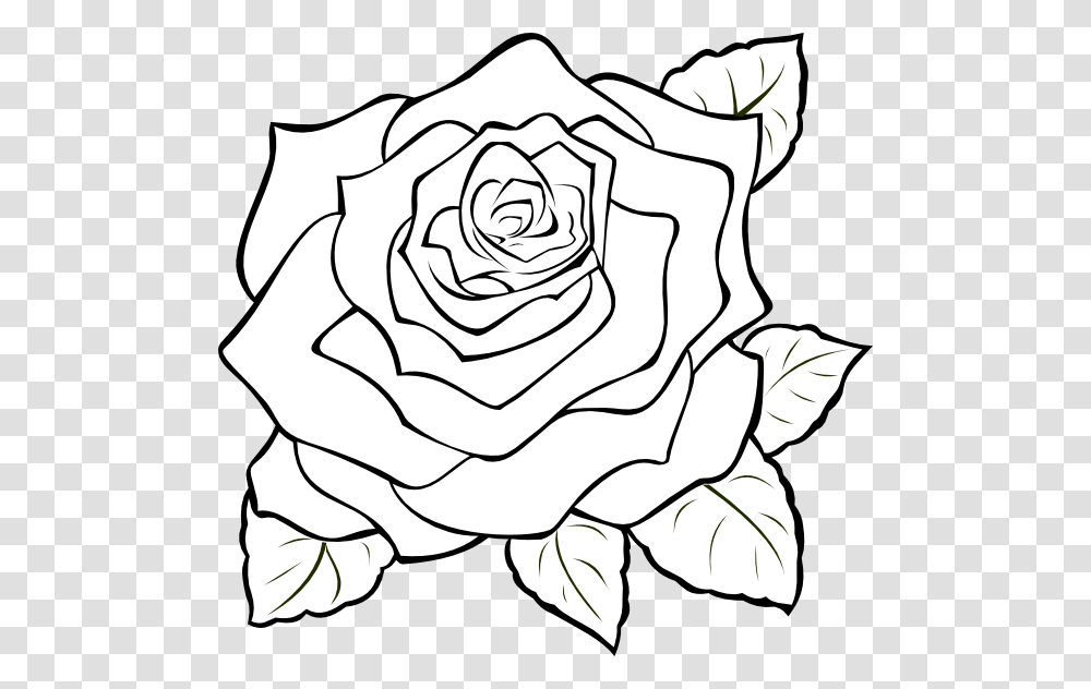 Download Free Rose Outline Rose Outline, Flower, Plant, Blossom, Painting Transparent Png