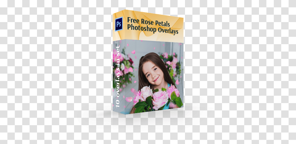 Download Free Rose Petals Overlaysrose Overlay Artificial Flower, Person, Human, Flyer, Poster Transparent Png