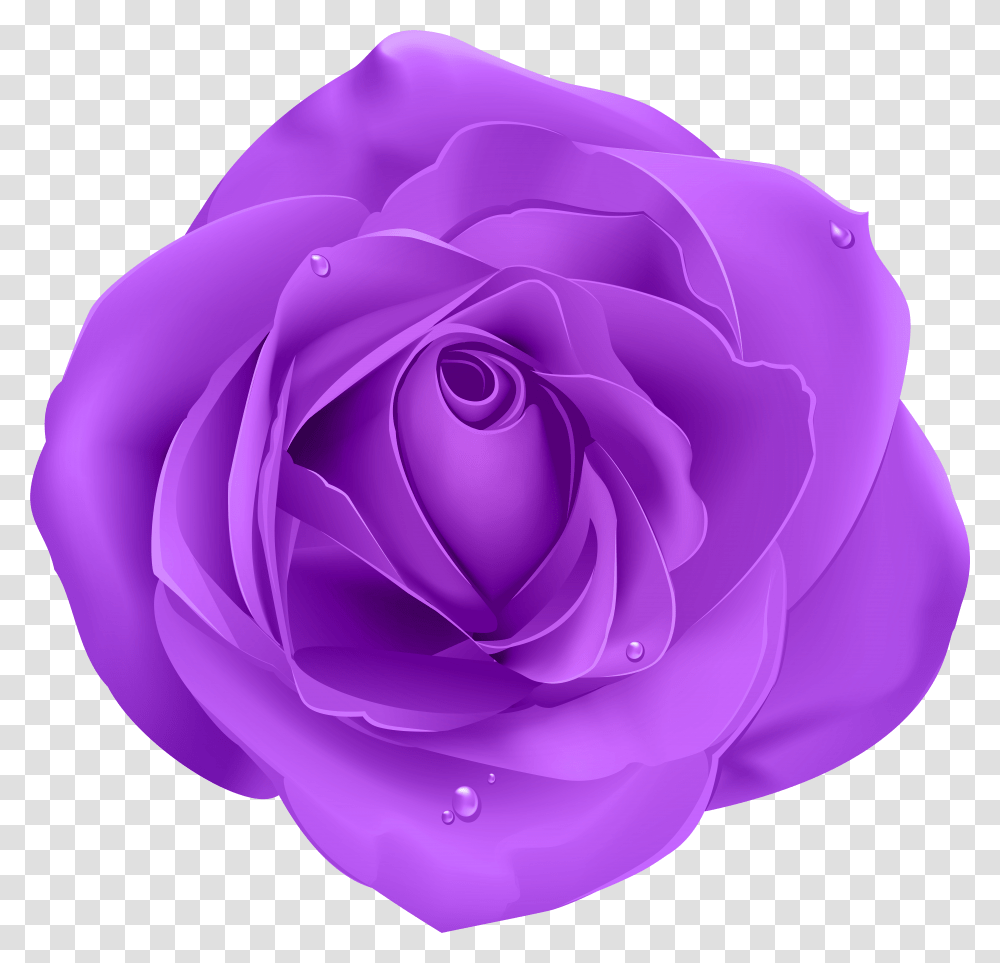 Download Free Rose Purple Clip Art Flower Background Transparent Png