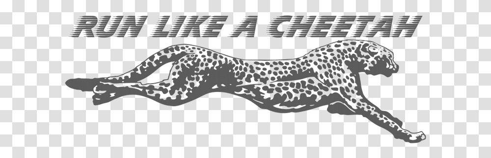 Download Free Running Cheetah Images Dlpngcom Run Like A Cheetah, Reptile, Animal, Weapon, Crocodile Transparent Png