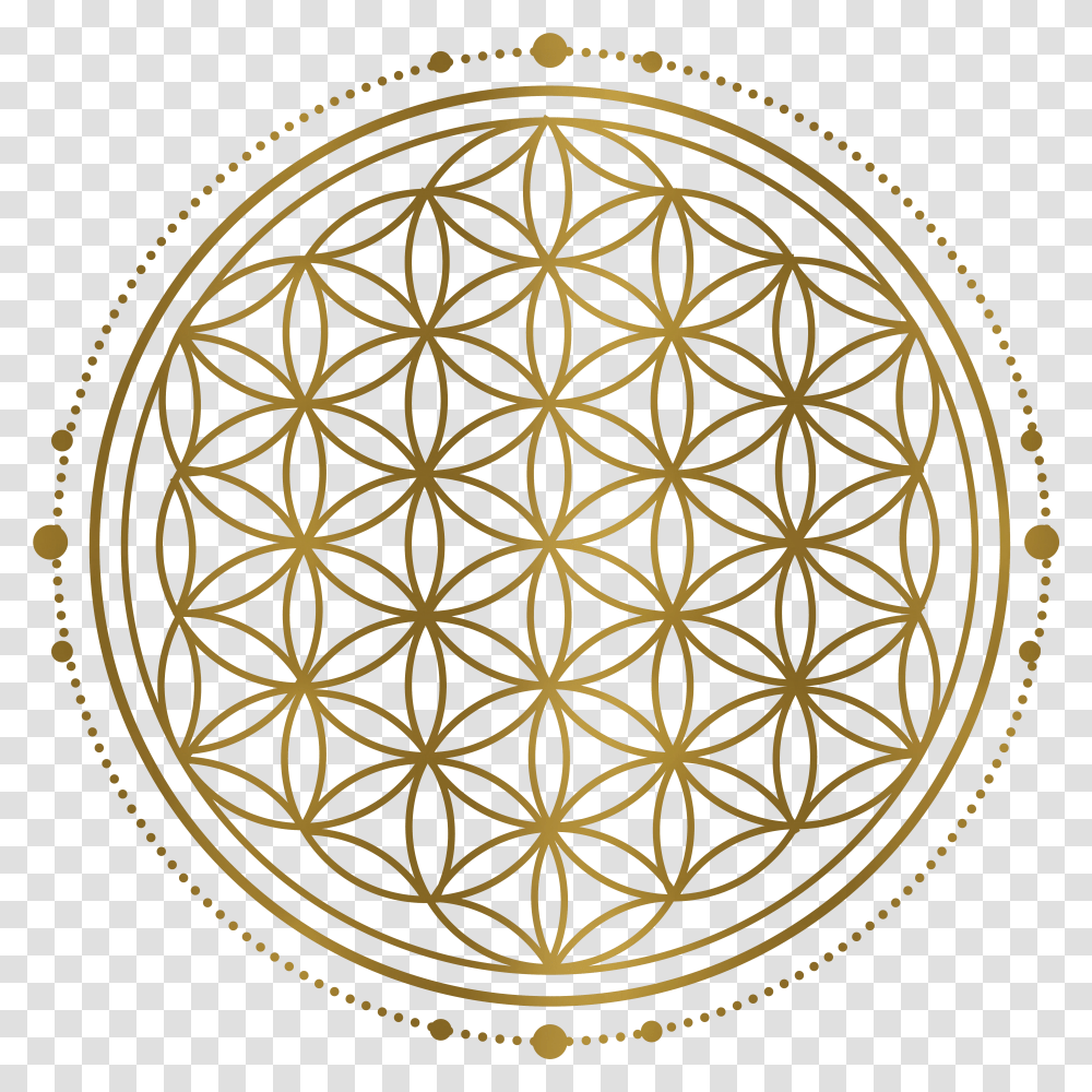 Download Free Sacred Geometry Platonic Solids Flower Of Life, Ornament, Pattern, Sphere, Rug Transparent Png