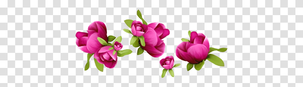 Download Free Spring Flower Background Spring Flowers Clipart, Plant, Blossom, Peony, Petal Transparent Png