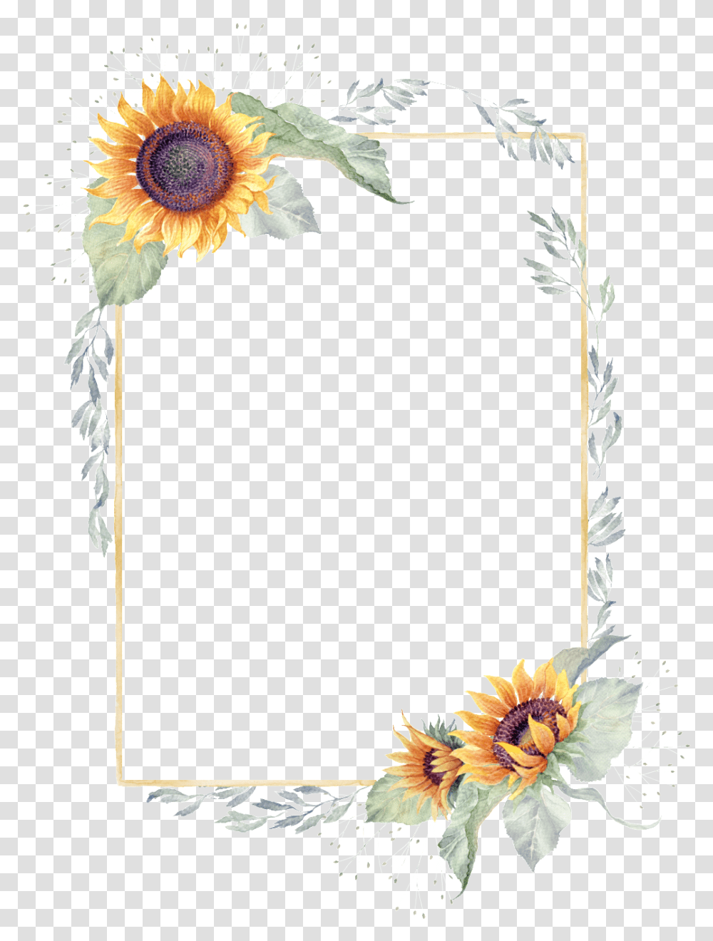 Download Free Sunflower Border Clear Background Sunflower Border, Plant, Daisy, Art, Flower Arrangement Transparent Png