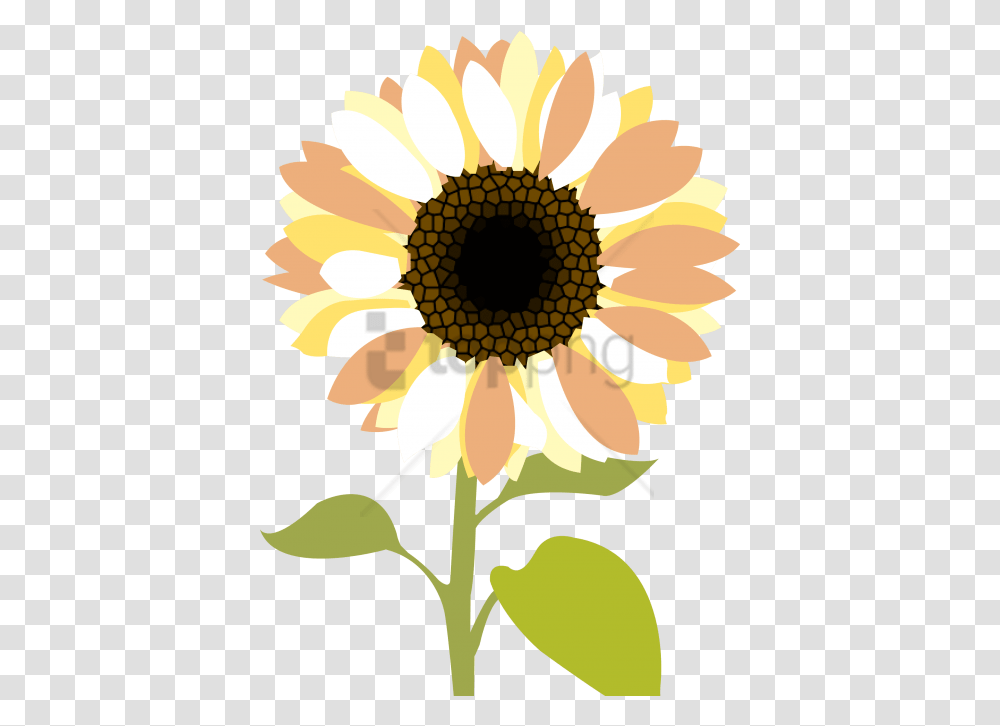 Download Free Sunflower Clipart Image With Cartoon Sunflower, Plant, Blossom, Daisy, Daisies Transparent Png