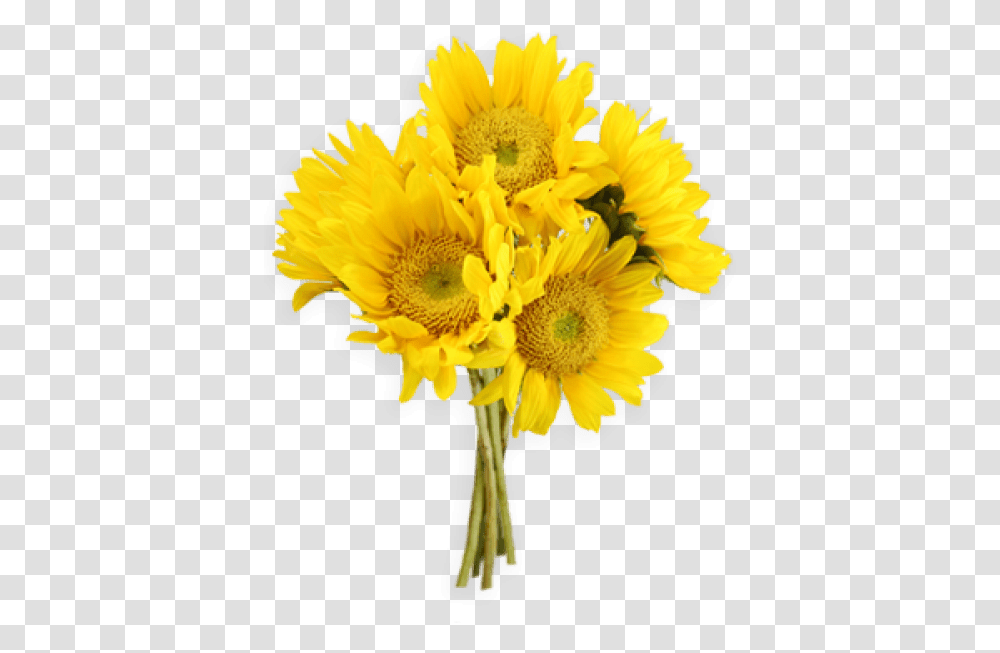 Download Free Sunflowers Images Yellow Flowers Bouquet, Plant, Blossom, Flower Bouquet, Flower Arrangement Transparent Png