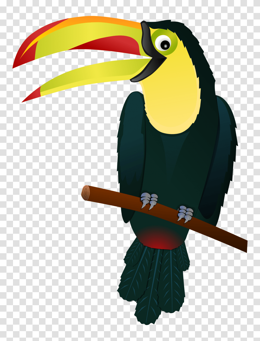 Download Free Toucan Tropical Bird Clipart, Animal, Beak Transparent Png