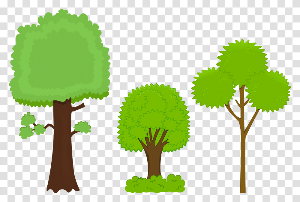 Download Free Trees Free Clipart Trees, Plant, Green, Palm Tree, Root Transparent Png