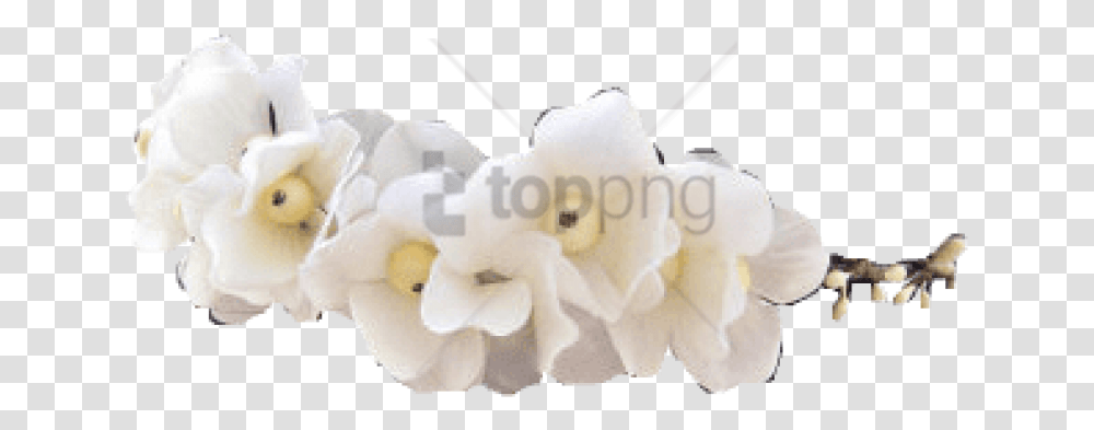 Download Free Tumblr Flower Crown Image Soft, Petal, Plant, Sweets, Food Transparent Png