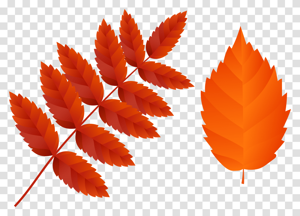 Download Free Two Dark Orange Fall Leaves Clip Art Orange Fall Leaves Clipart, Leaf, Plant, Tree, Maple Transparent Png