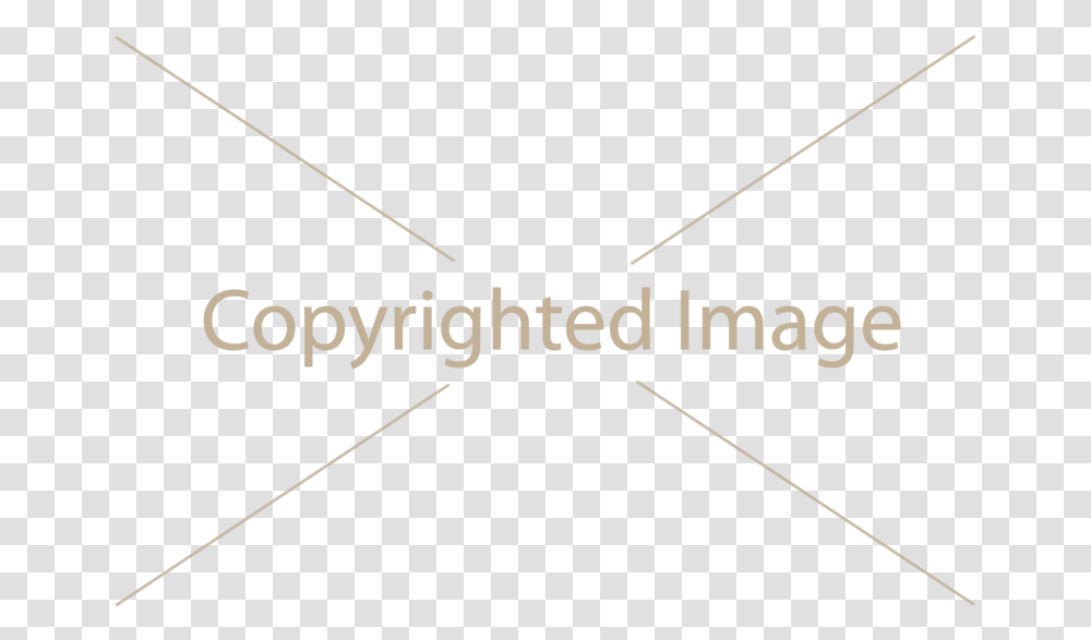 Download Free Watermark Myriad Font, Label, Text, Triangle, Bowl Transparent Png