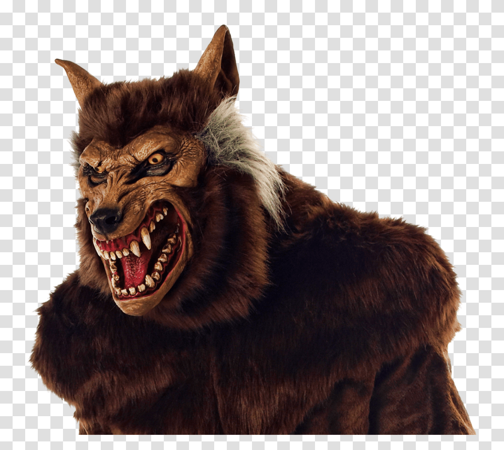 Download Free Werewolf Photos Werewolf Halloween Costume, Lion, Wildlife, Mammal, Animal Transparent Png
