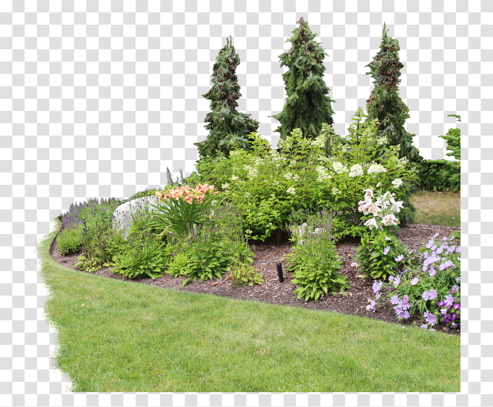 Download Free Yard & Garden Maintenance Lansing Mi Flower Garden Garden, Plant, Grass, Tree, Outdoors Transparent Png