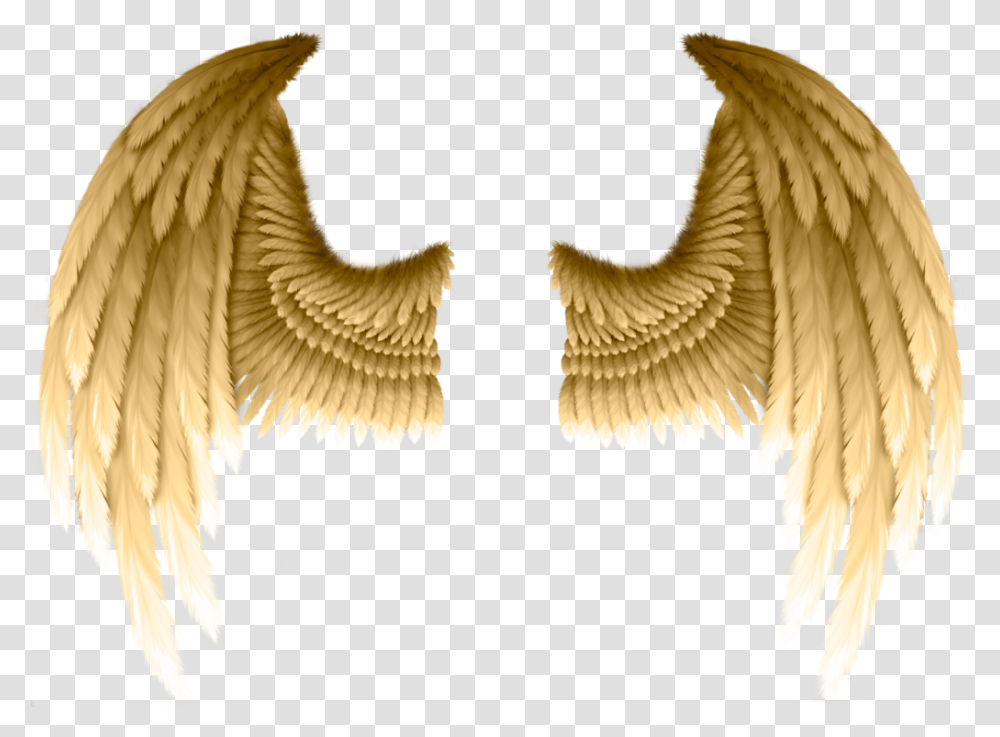 Download Freetoedit Ftestickers Dt Angelwings Wings Gold Angel Wings, Bird, Animal, Art, Bronze Transparent Png