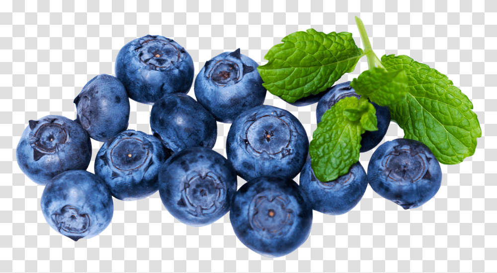 Download Fresh Blueberries Image Blueberries, Blueberry, Fruit, Plant, Food Transparent Png