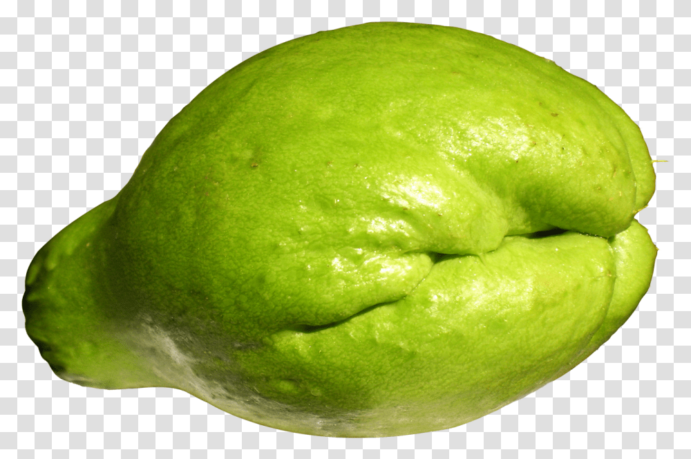 Download Fresh Chayote Image For Free Chayote, Plant, Fruit, Food, Citrus Fruit Transparent Png