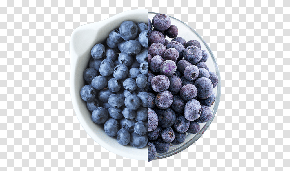 Download Fresh Or Frozen Blueberries Blueberry Image Blueberry, Fruit, Plant, Food Transparent Png