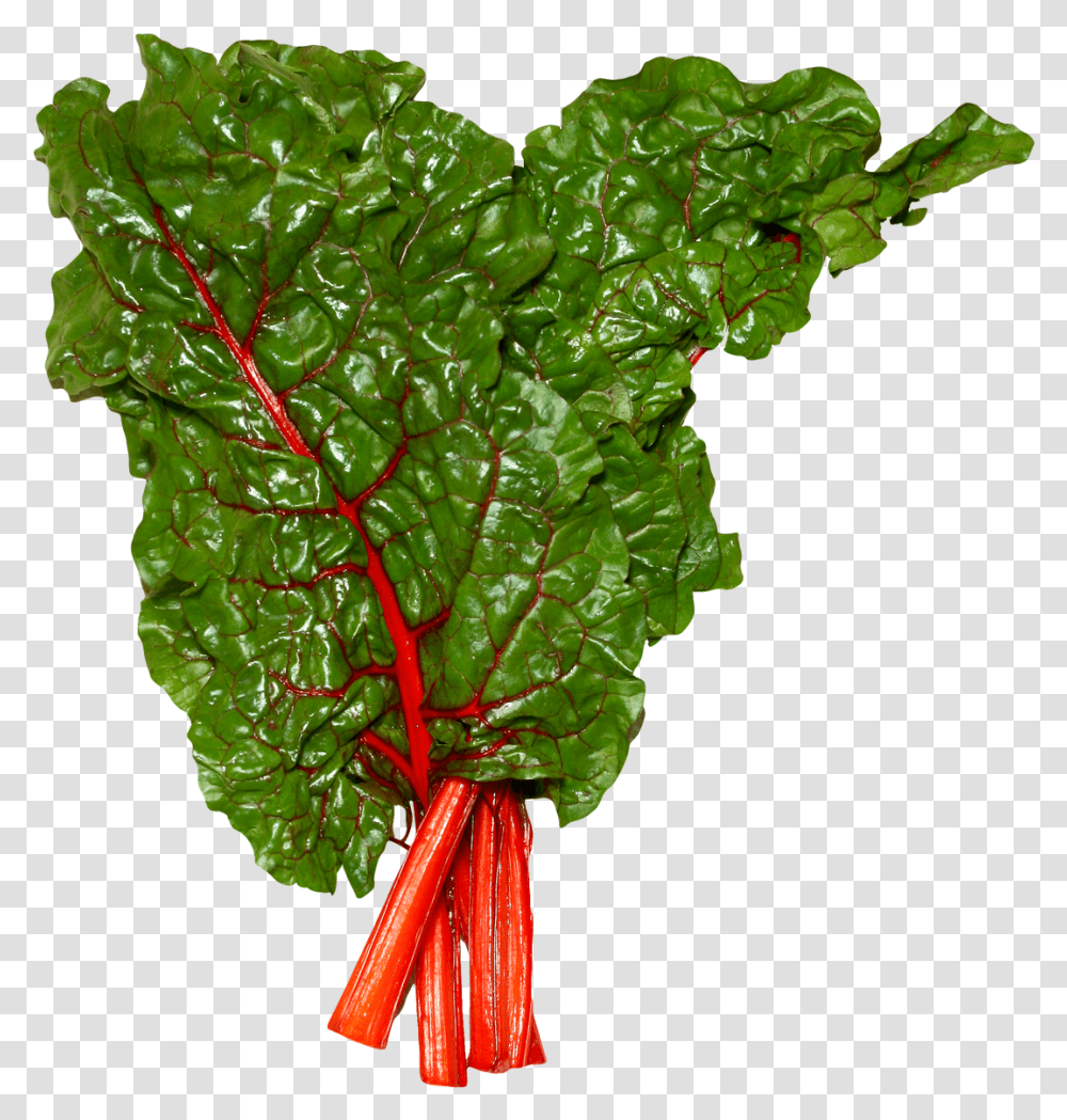 Download Fresh Swiss Chard Image For Free Swiss Chard Clipart, Plant, Vegetable, Food, Produce Transparent Png