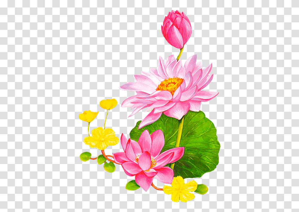 Download Friendship Flowers Vintage Diy Lotus Clipart Lotus Cartoon, Plant, Blossom, Lily, Floral Design Transparent Png