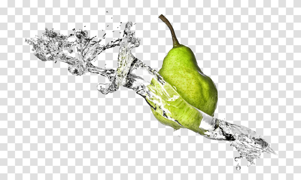 Download Fruit Water Splash File Pear Juice Splash, Plant, Food, Bird, Animal Transparent Png