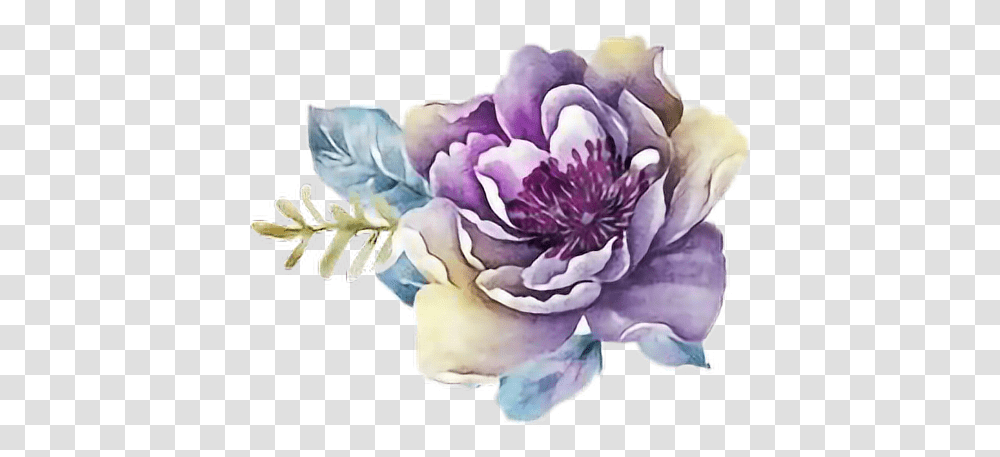 Download Ftestickers Art Watercolor Purple Watercolor Flower Clipart, Plant, Rose, Dahlia, Ornament Transparent Png