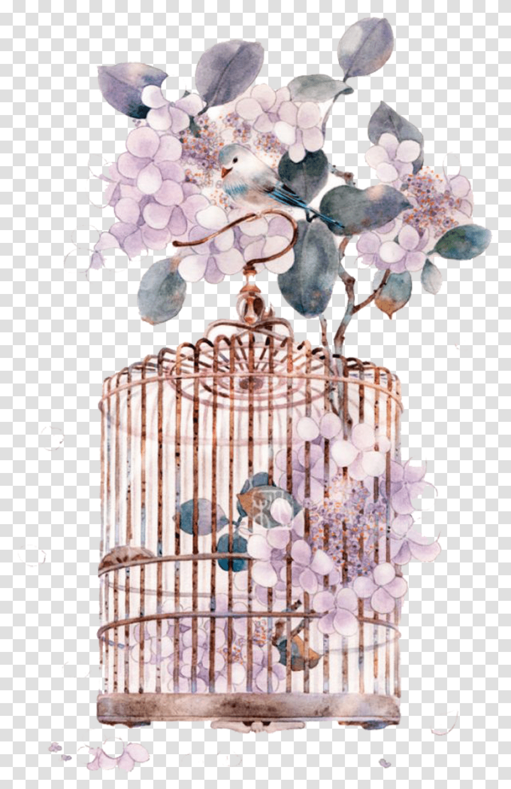 Download Ftestickers Watercolor Bird Birdcage Flowers Birdcage, Cake, Dessert, Screen, Birthday Party Transparent Png