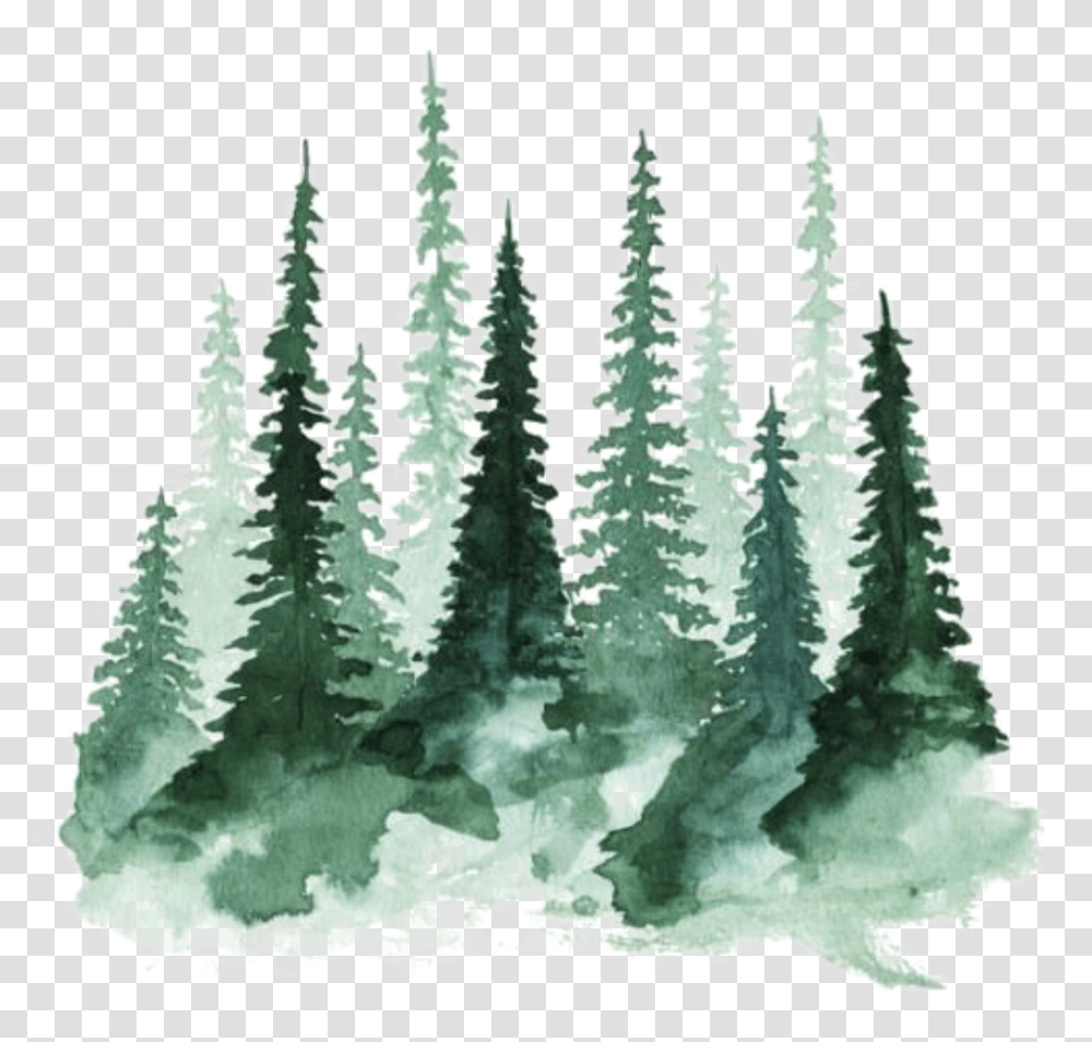 Download Ftestickers Watercolor Trees Christmas Tree Watercolor, Plant, Fir, Abies, Pine Transparent Png