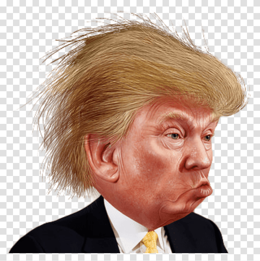Download Funny Caricature Trump Color Face Hair Donald Hq Donald Trump Funny Cartoon, Person, Tie, Accessories, Head Transparent Png