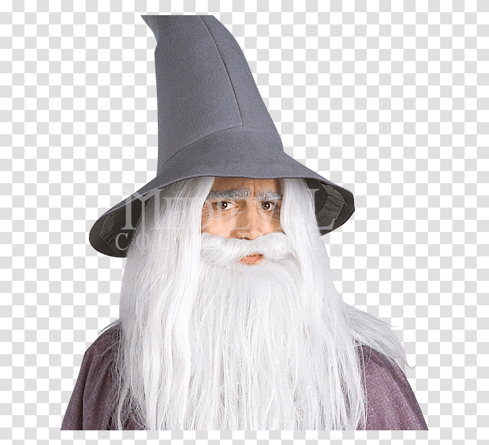 Download Gandalf Hat Background For Designing, Face, Person, Human Transparent Png